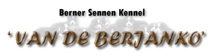 Berner Sennen Kennel Van de Berjanko