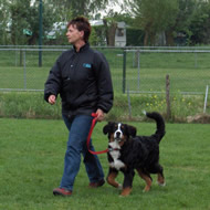 Training voor hond en baas